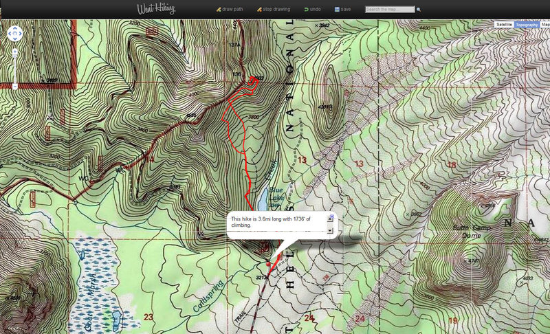I did the best to find my summit in Google Earth. There is a ridge and my summit is the lower of the 3.